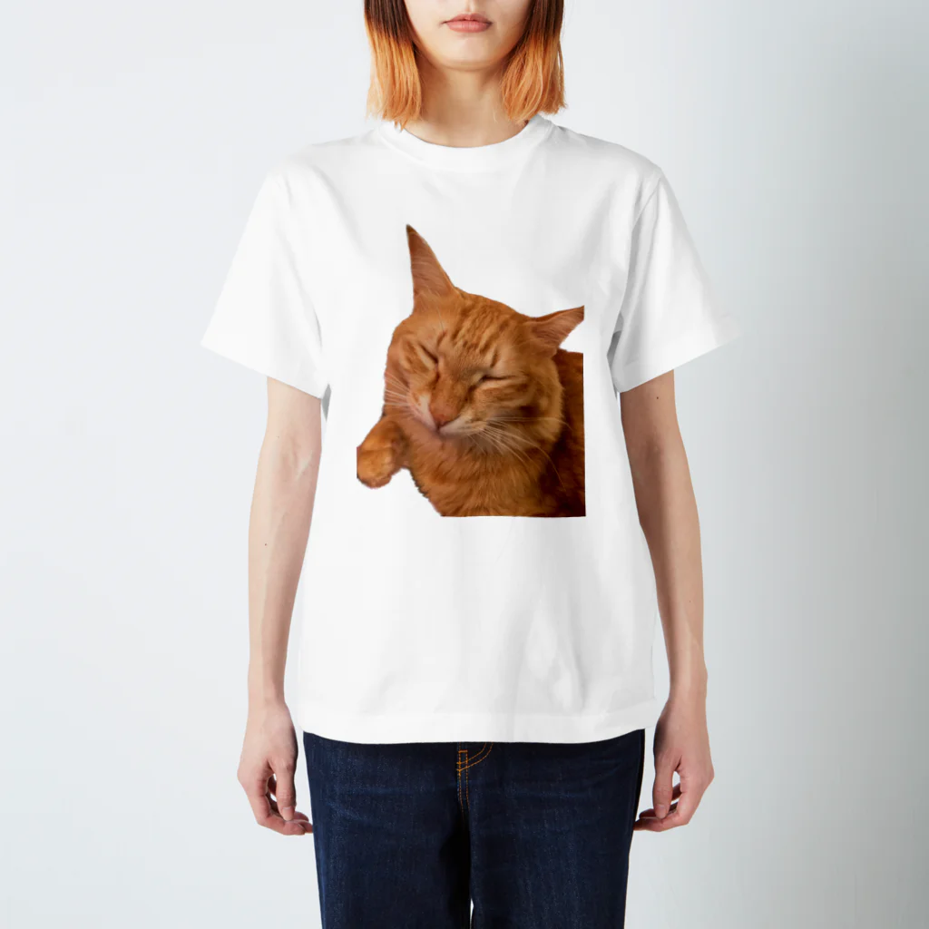 トロールショップのネムネム我が家のお猫様 Regular Fit T-Shirt