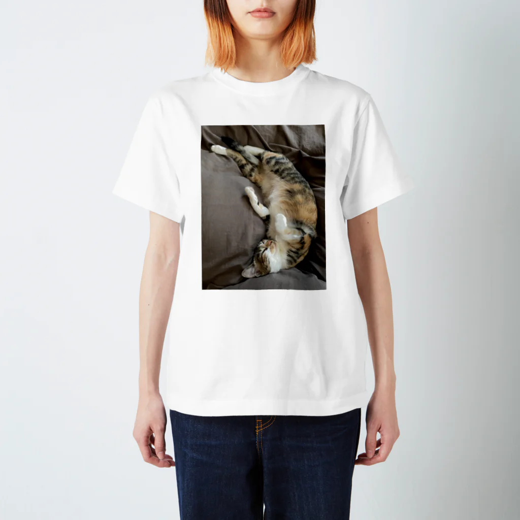 みたらししょっぷのみたらしみーちゃん Regular Fit T-Shirt
