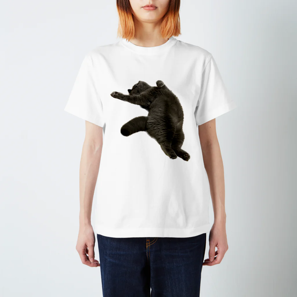 むっちり猫のむっちり丸のお腹ぽっこりむっちり丸 Regular Fit T-Shirt