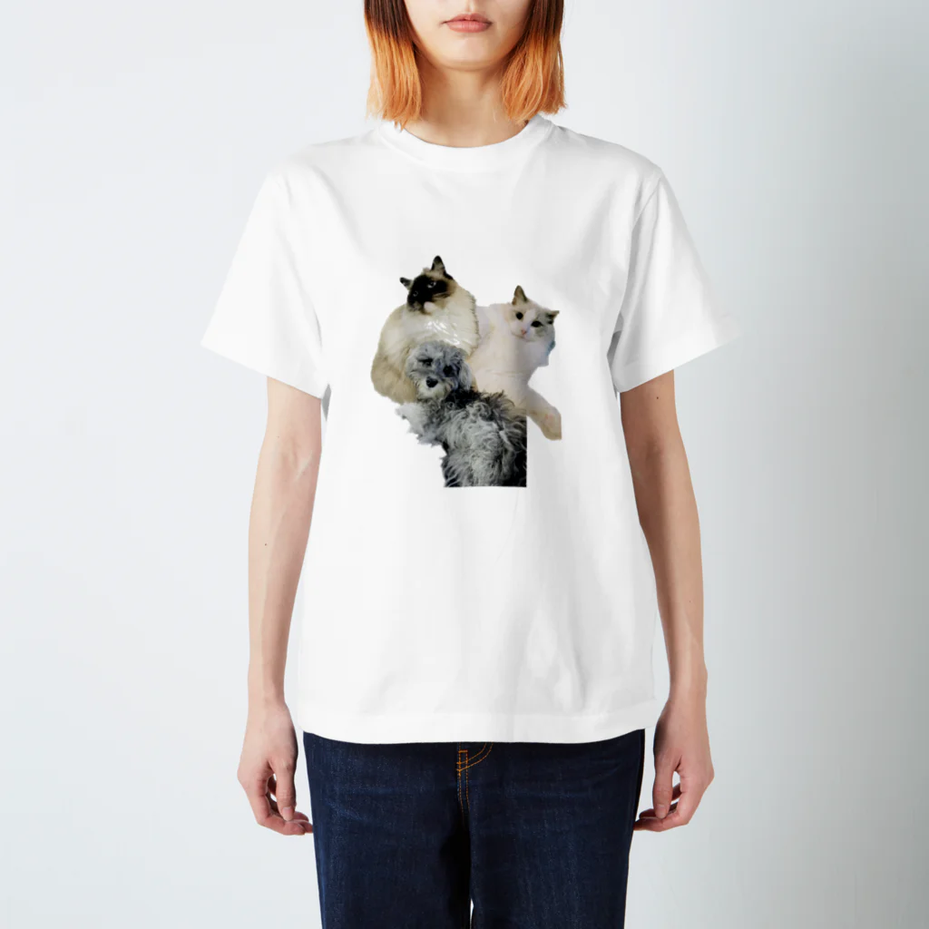 わがや【仮】の我が家の御三家🐱🐱🐶 Regular Fit T-Shirt