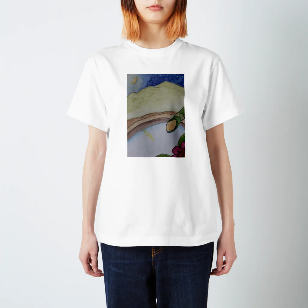 Imaginaryの水鏡 Regular Fit T-Shirt