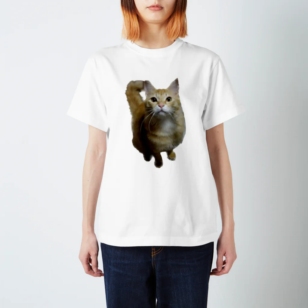 トロールショップの我が家のお猫様が見てます(笑) Regular Fit T-Shirt