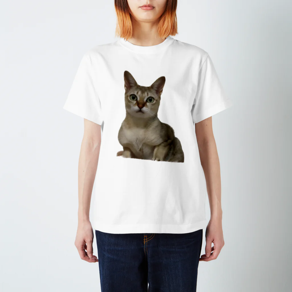 無気力ネコチャンのnyan スタンダードTシャツ