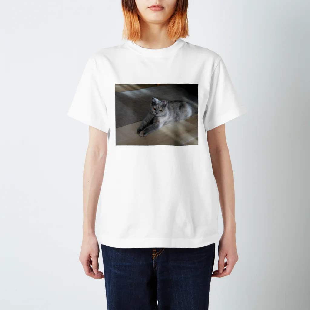 komachi_caaatのこまち Regular Fit T-Shirt