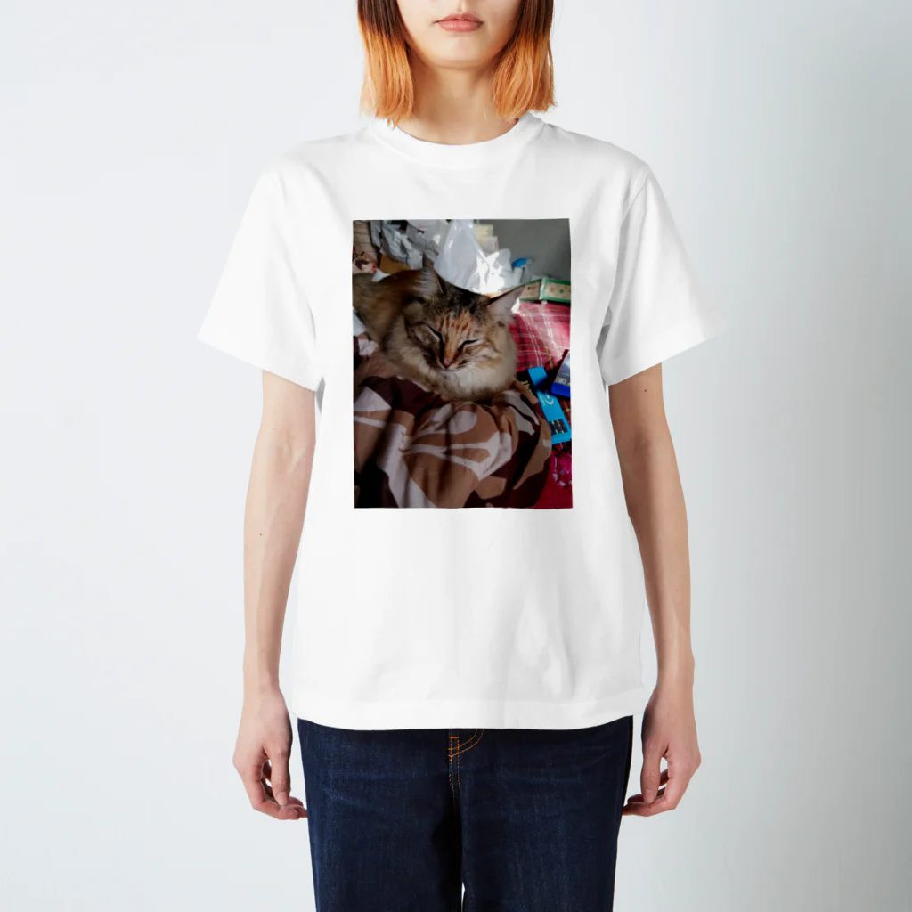 不死鳥のひかるんのシンバちゃん Regular Fit T-Shirt