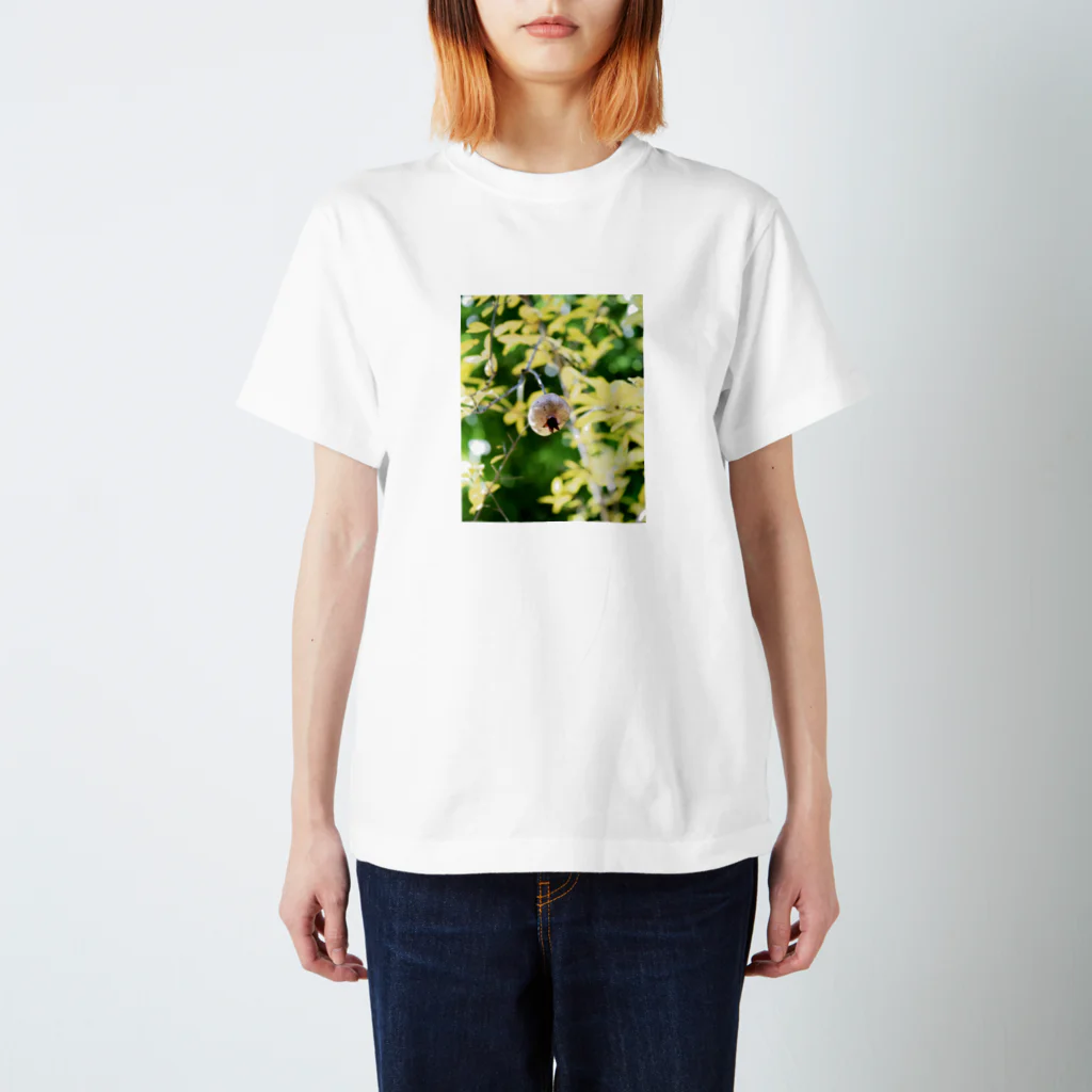  Yukari Takano 's  Photogoodsの小さな宝物〜ザクロ〜 Regular Fit T-Shirt