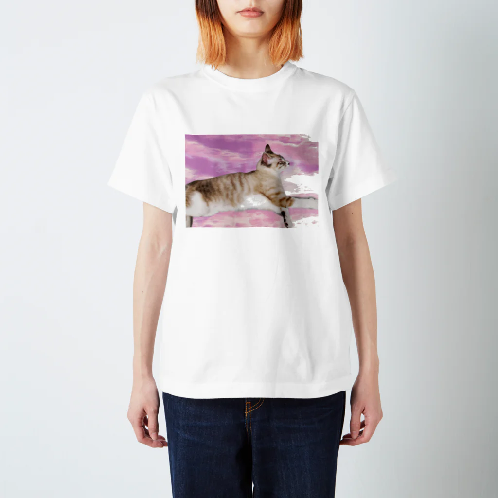 Stemの  ねこ Regular Fit T-Shirt