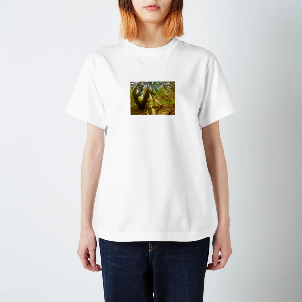 Kojima wataruの森 スタンダードTシャツ