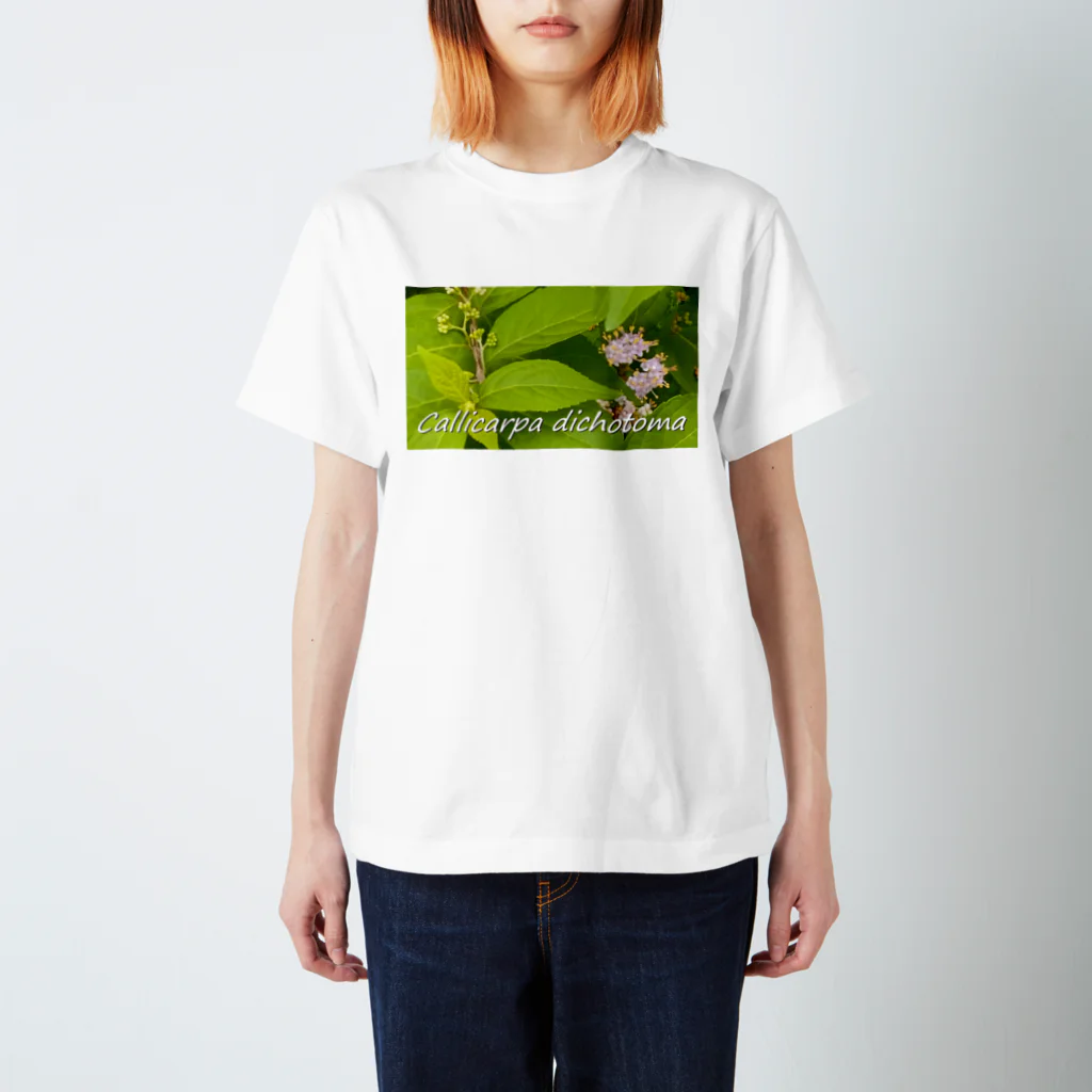  #satisfyingのコムラサキ　Callicarpa dichotoma スタンダードTシャツ