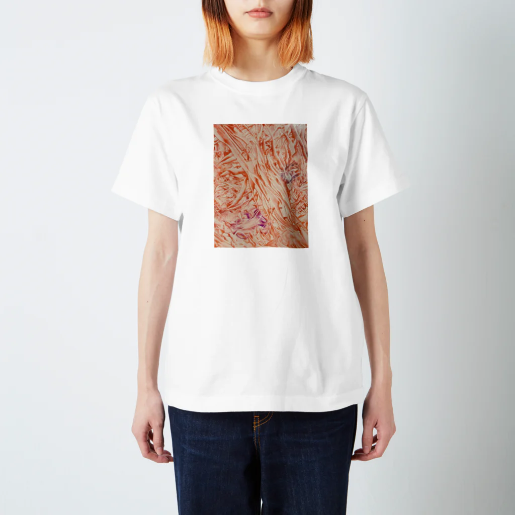 キモグラフィック屋さん － Unconscious Art －の子宮内膜Ａ Regular Fit T-Shirt