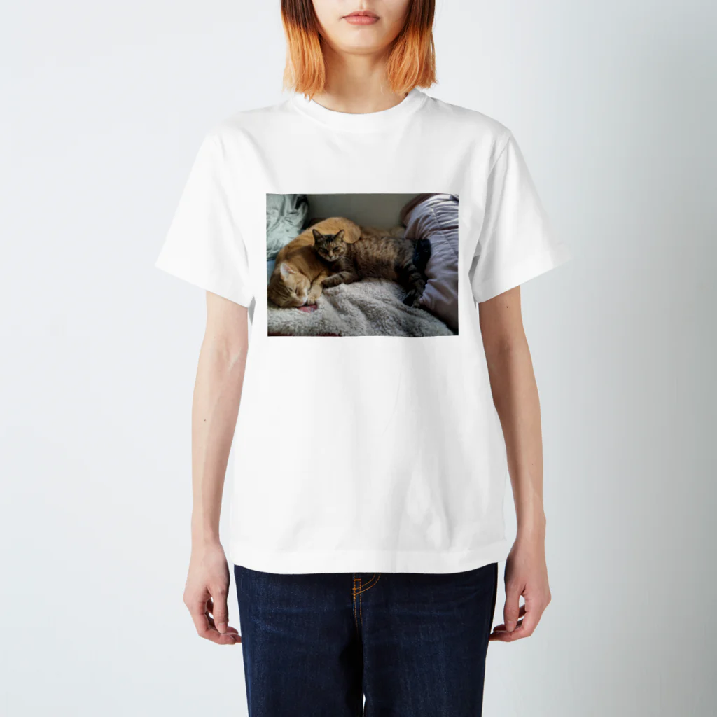 ラスベガスマーケットの仲良しねこねこ Regular Fit T-Shirt