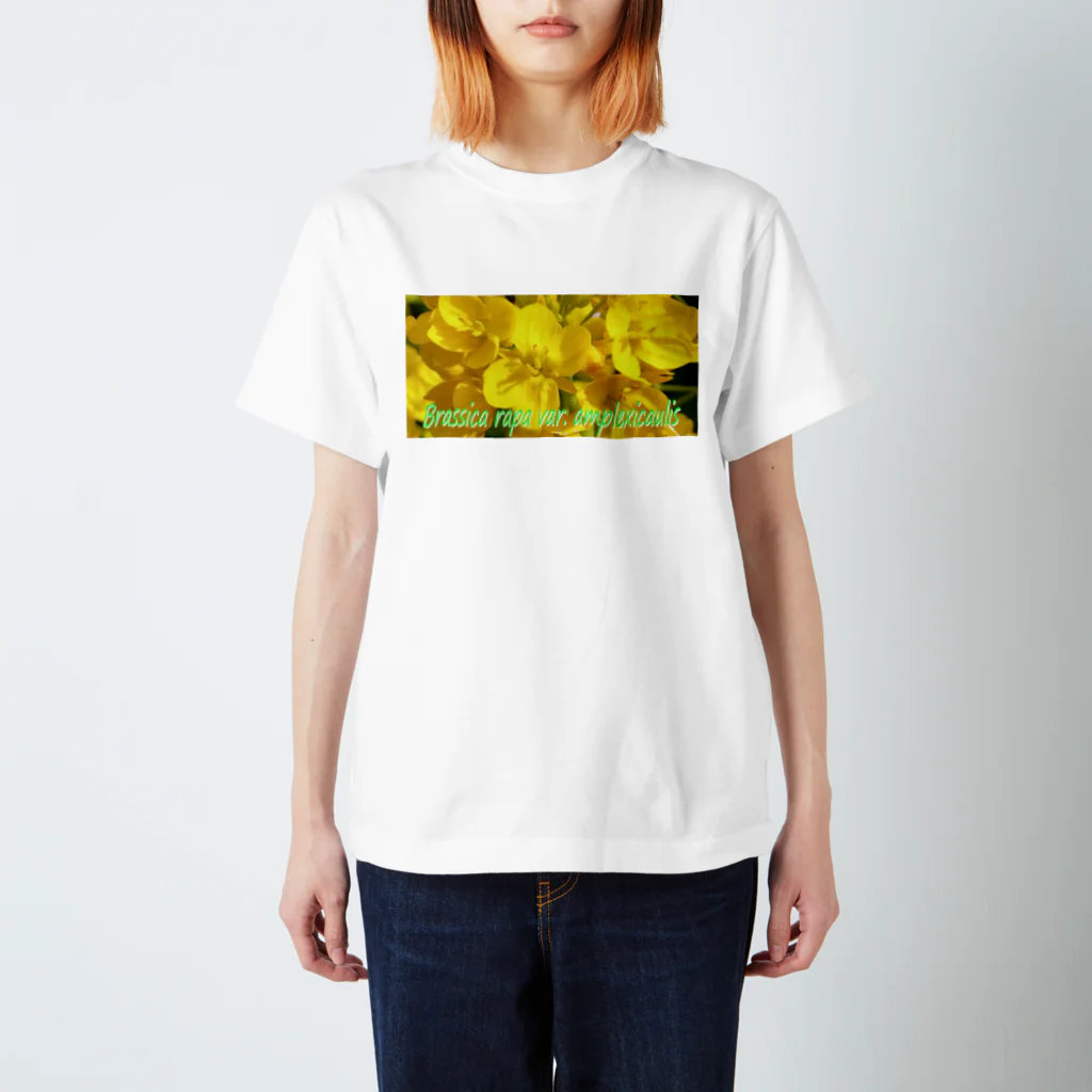  #satisfyingの菜の花　【啓蟄】　Brassica rapa var. amplexicaulis Regular Fit T-Shirt