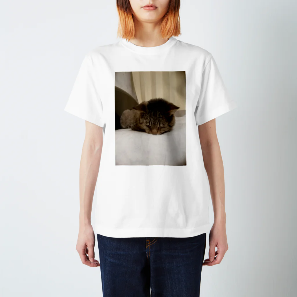 工房かみりゅんの家の猫　茶虎 Regular Fit T-Shirt