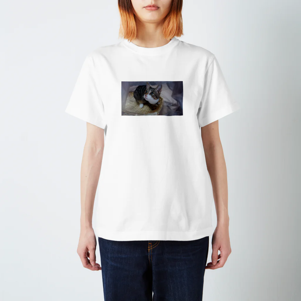 いわたみーと😿現在お昼寝中のアイドルにごたん Regular Fit T-Shirt