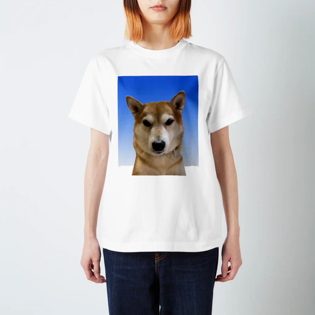 kumaの柴犬Tシャツ スタンダードTシャツ