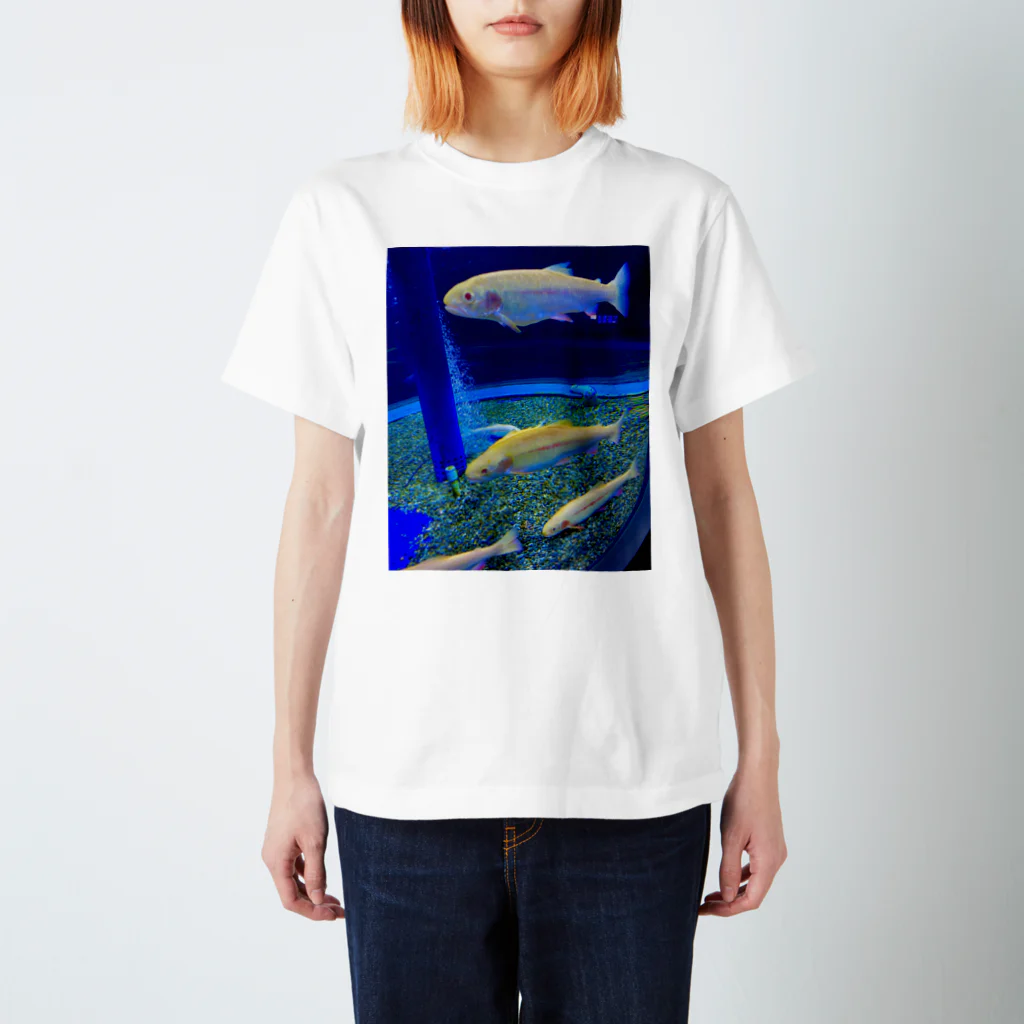 ASHLEY CARAVAN のシャケさまのアルビノ。 Regular Fit T-Shirt