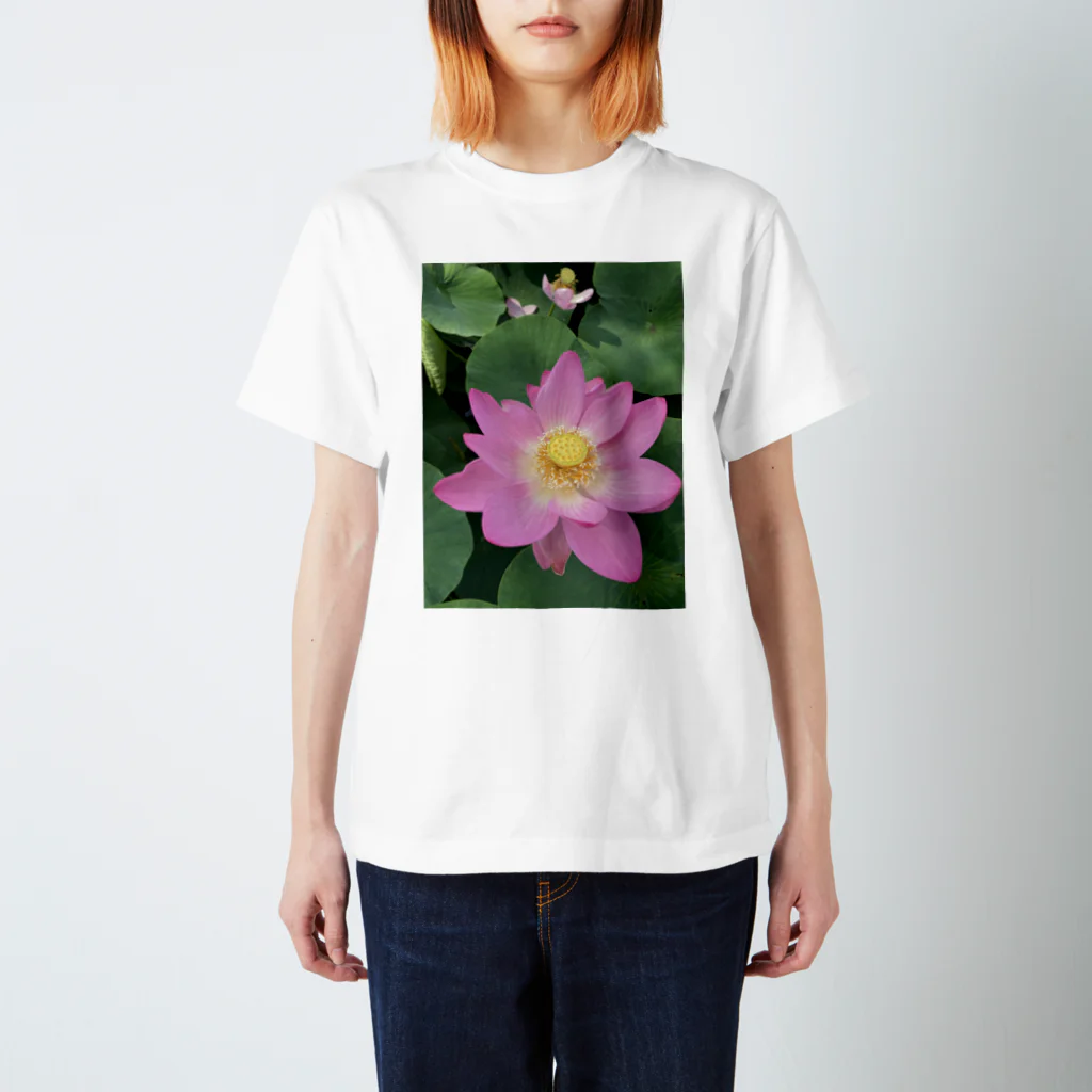 ohkの蓮の花 スタンダードTシャツ