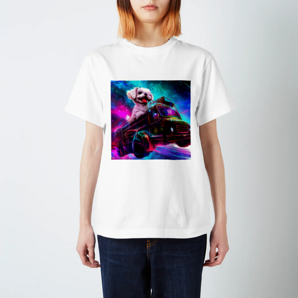 TSA-AkashicGalleryのニッキー（Nicky）1 スタンダードTシャツ