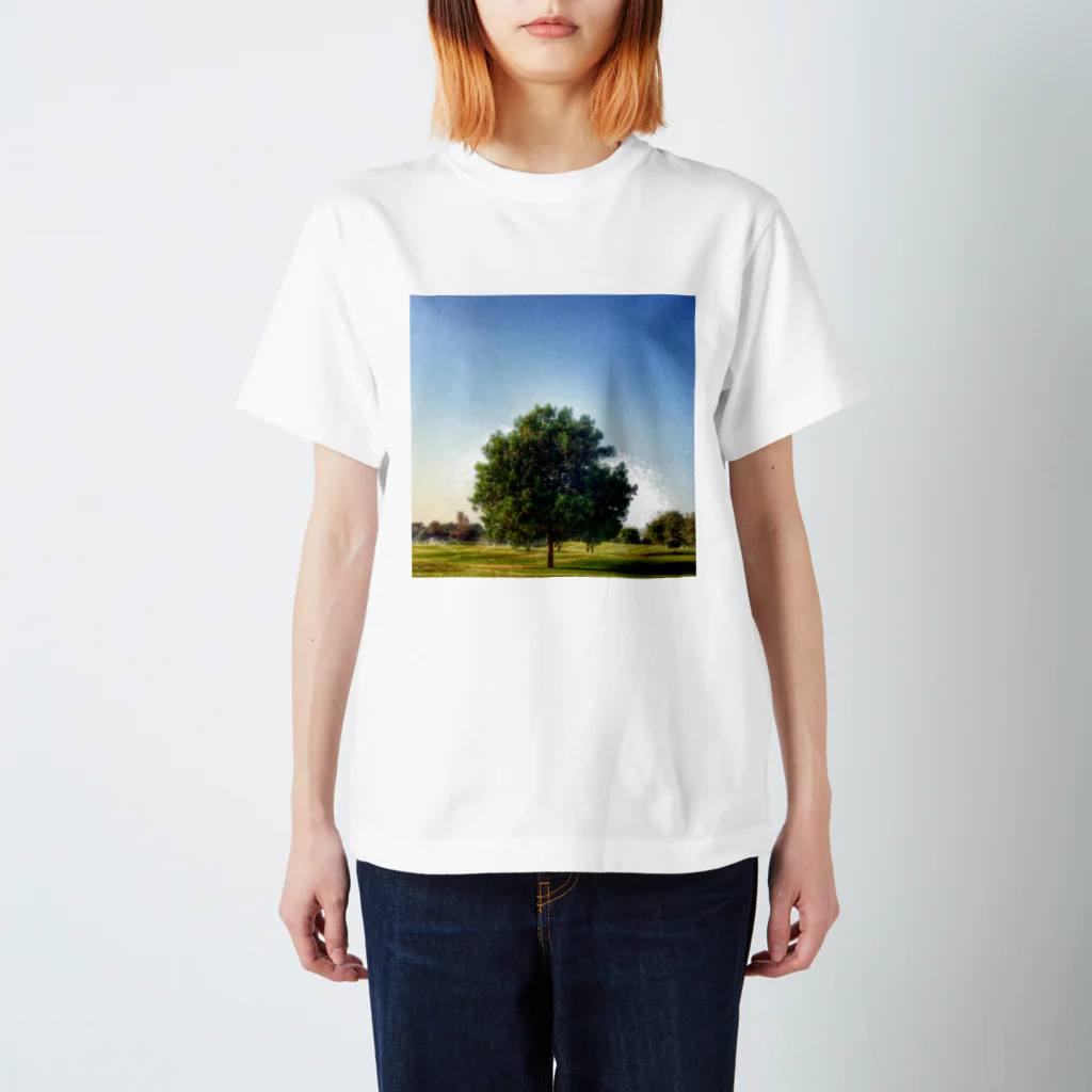 Emanon  ShopのAbū Dhabī tree Regular Fit T-Shirt