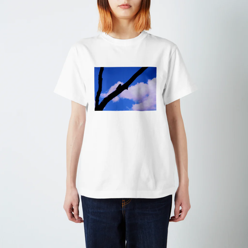 みずあめあいすのセミシルエット×青空 Regular Fit T-Shirt