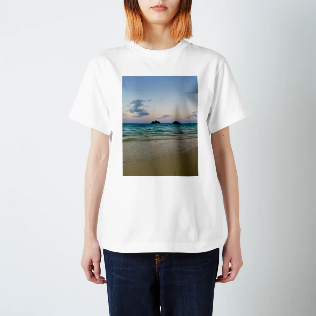 KaulaのTwo islands スタンダードTシャツ