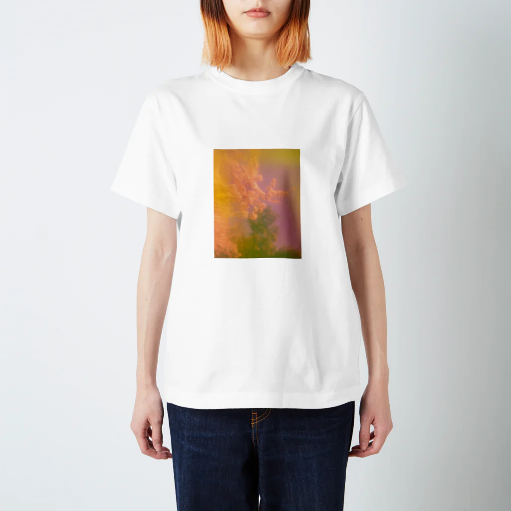 OAMSのFlor de Sakura Regular Fit T-Shirt