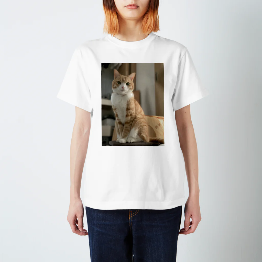 飴色の猫のチロル Regular Fit T-Shirt