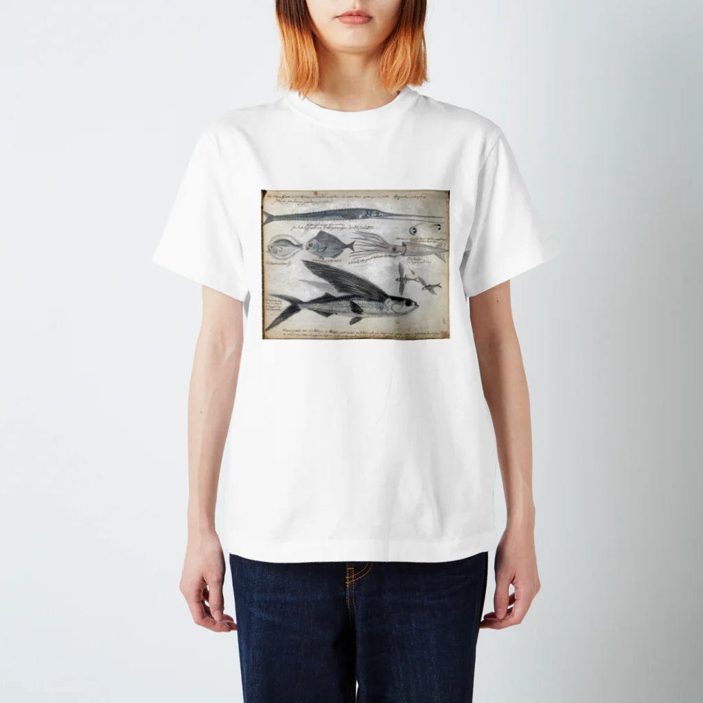 PALA's SHOP　cool、シュール、古風、和風、の魚図鑑ートビウオ他 スタンダードTシャツ