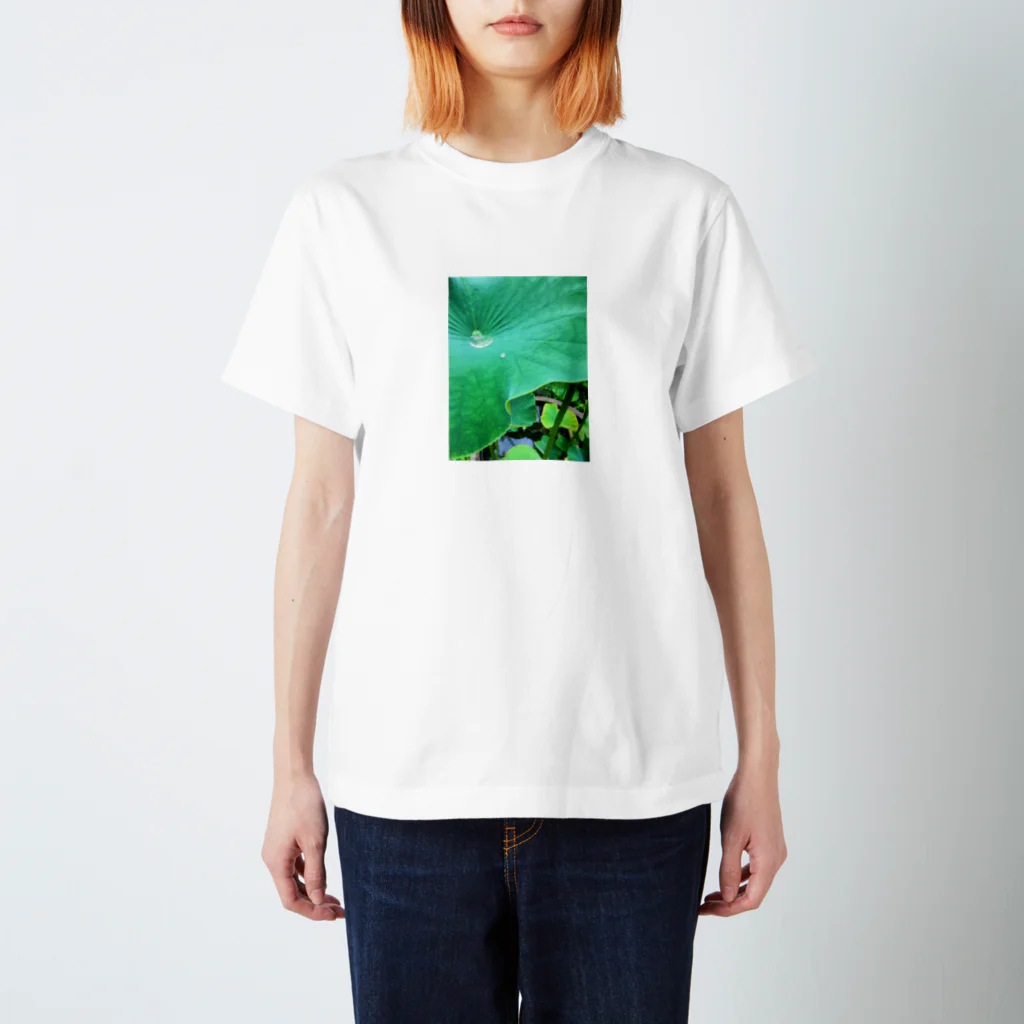 鹿美写真館の蓮の葉 スタンダードTシャツ