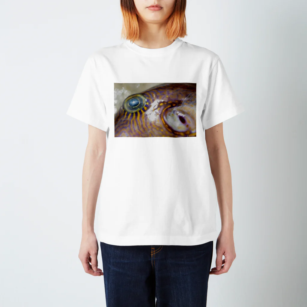 Aiko Nakanoの死んだ魚の目_キタマクラ_20180825_0645 スタンダードTシャツ