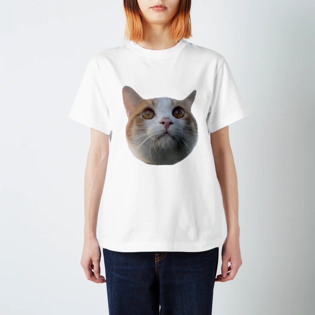 ﾋｶﾉﾌｧﾝﾀｼﾞｱのシンバちゃん Regular Fit T-Shirt
