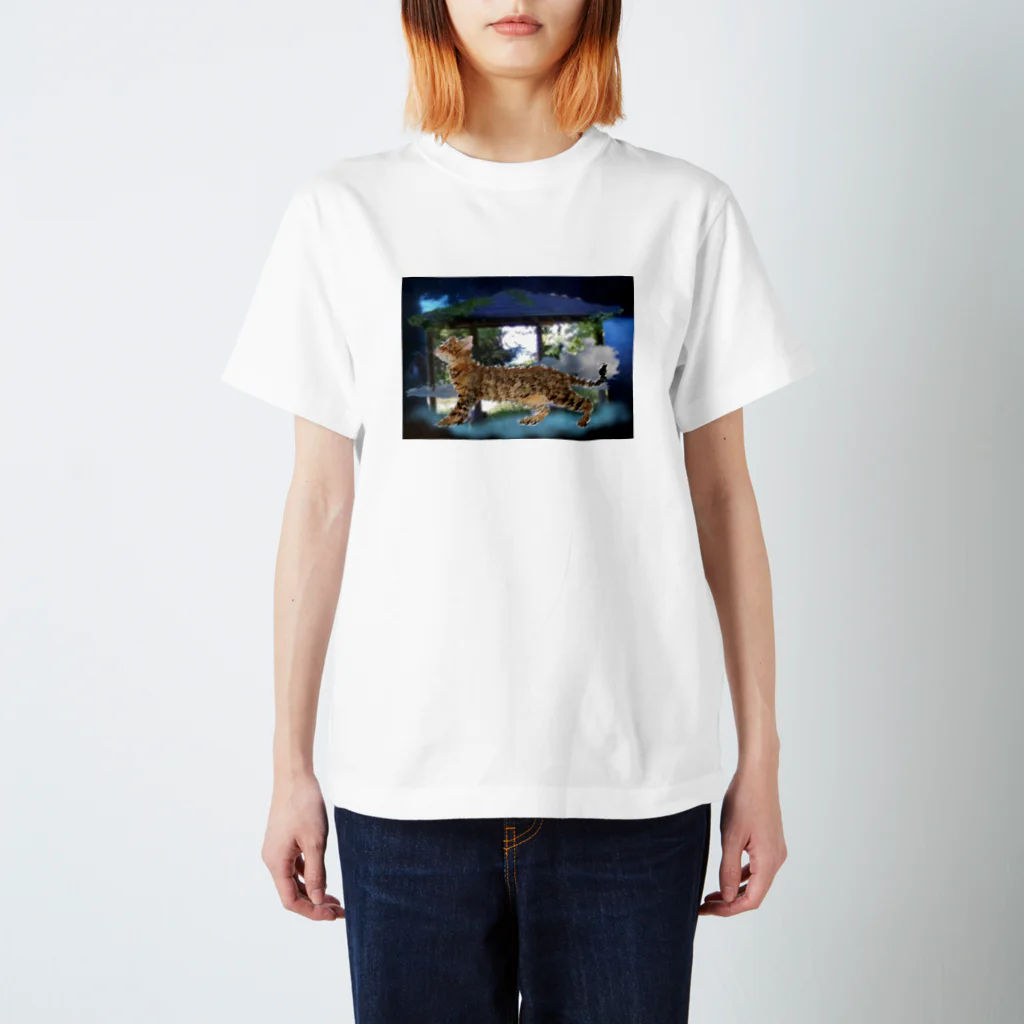 Qsarkの青い世界に来たネコ Regular Fit T-Shirt