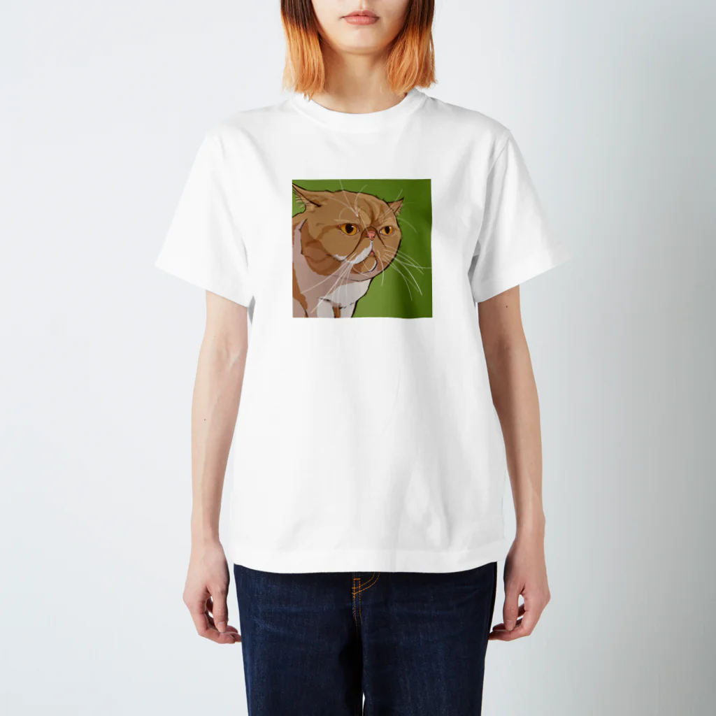 アマツカのEXOTIC Regular Fit T-Shirt