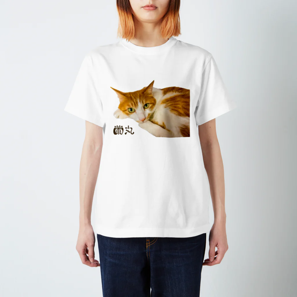 茶トラ白（通称:チャト）のうちの蘭丸くん スタンダードTシャツ