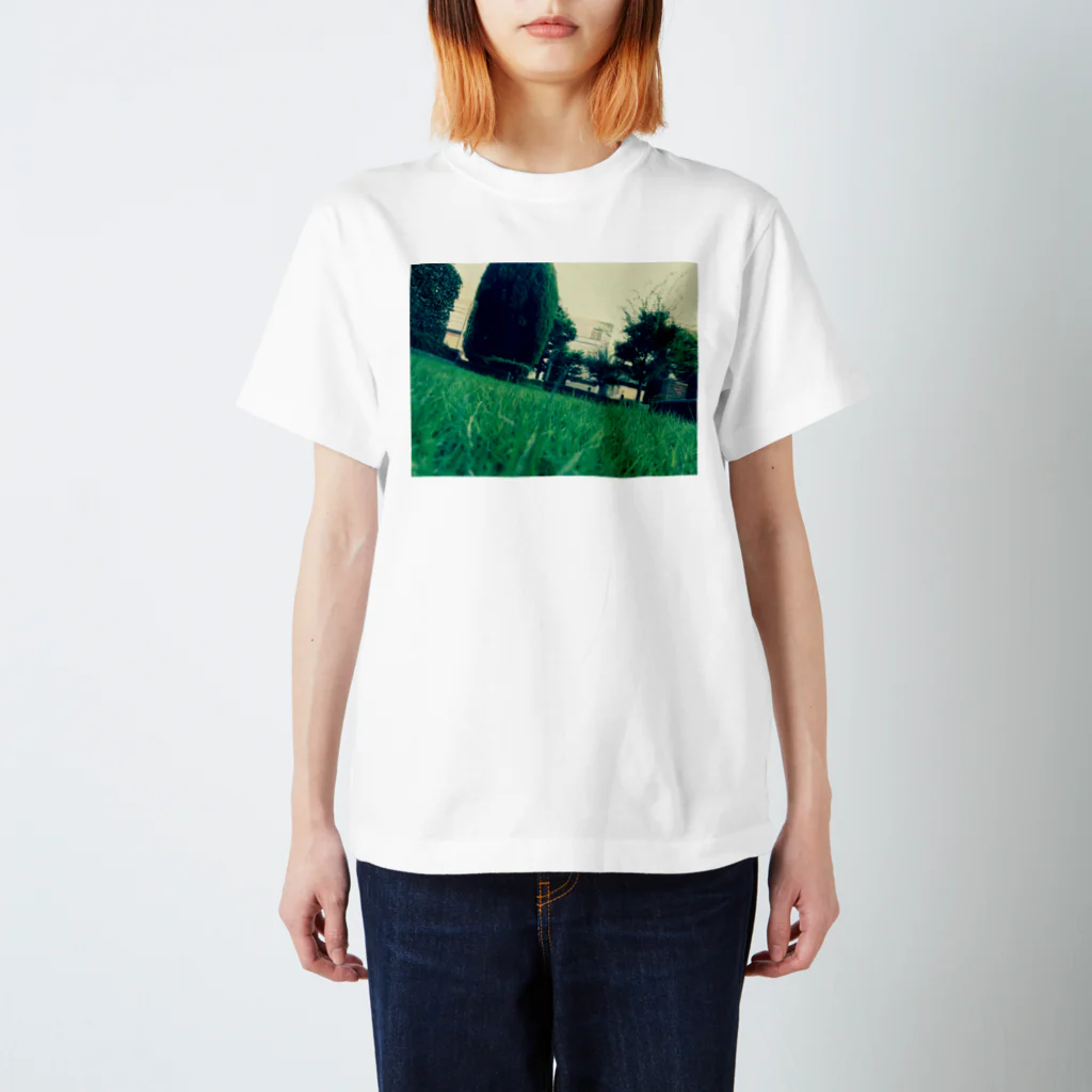 kin_love_terabeの緑緑町には緑 スタンダードTシャツ