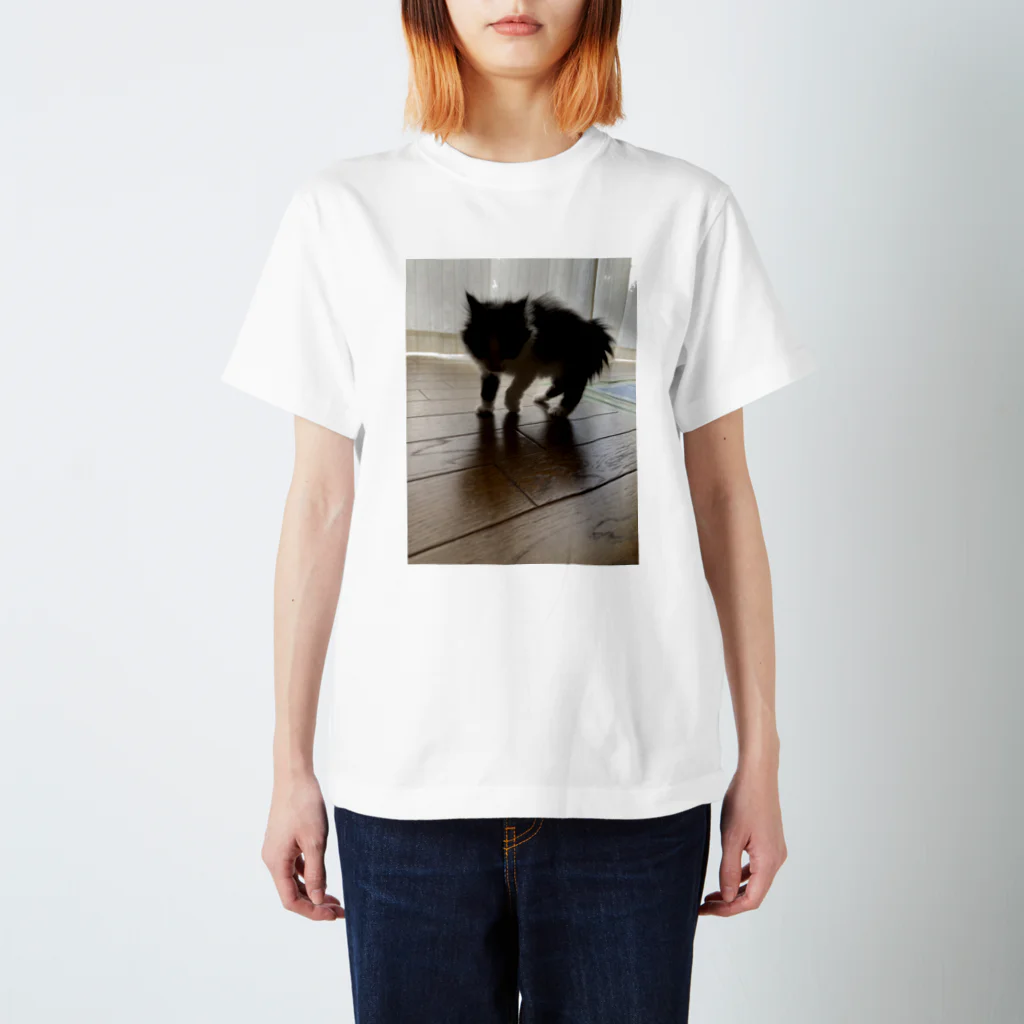 センチメンタルリボンちゃんの逆光逆毛猫 Regular Fit T-Shirt