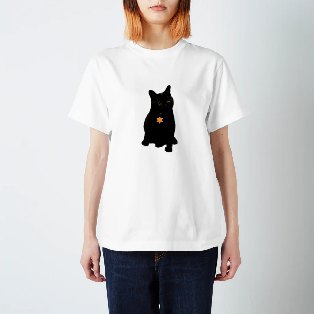 mochi mochi neko yaの黒猫のkey Regular Fit T-Shirt