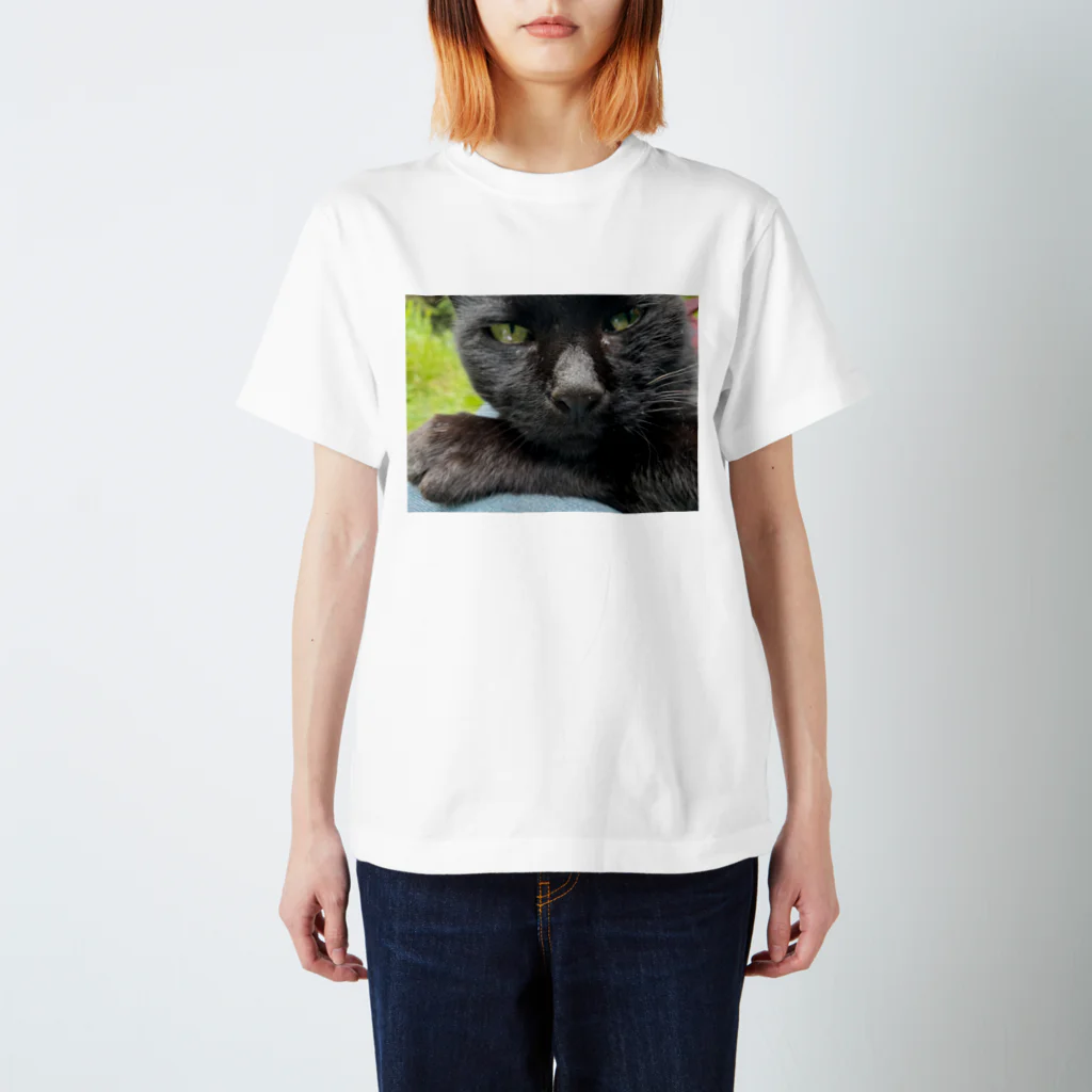 みちくさぷらっとのたんこちゃん Regular Fit T-Shirt