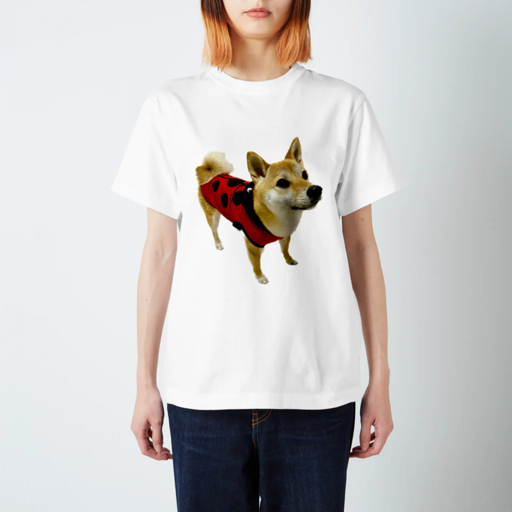 柴犬おかゆのグッズ販売店のてんとうむし　おかゆ スタンダードTシャツ