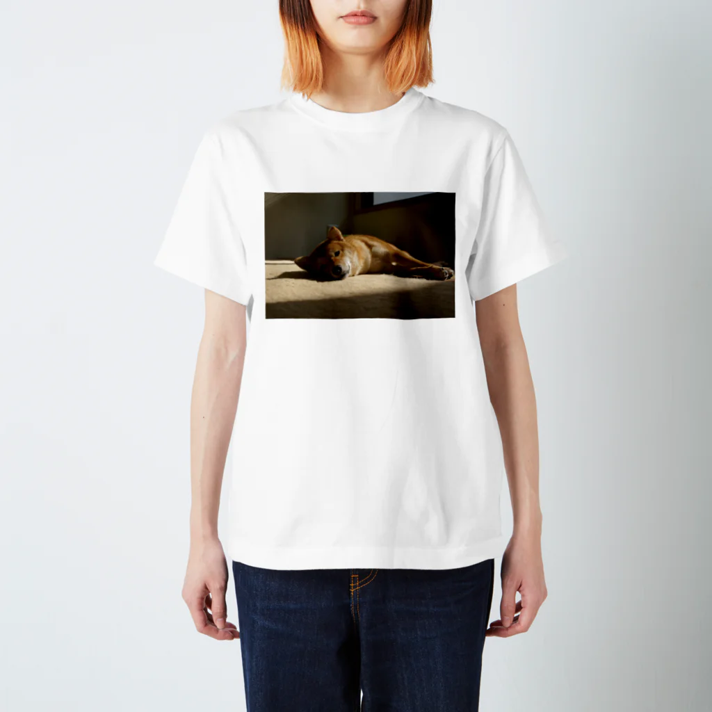 朔工房の夕焼けの柴犬 スタンダードTシャツ