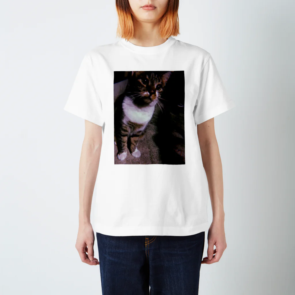 お雑煮屋さん（写真×Tシャツ専門店）のお雑煮_ねこ① スタンダードTシャツ