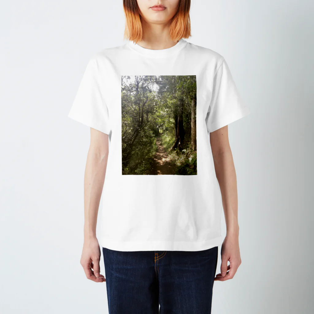 saba-sabaの光の中で Regular Fit T-Shirt