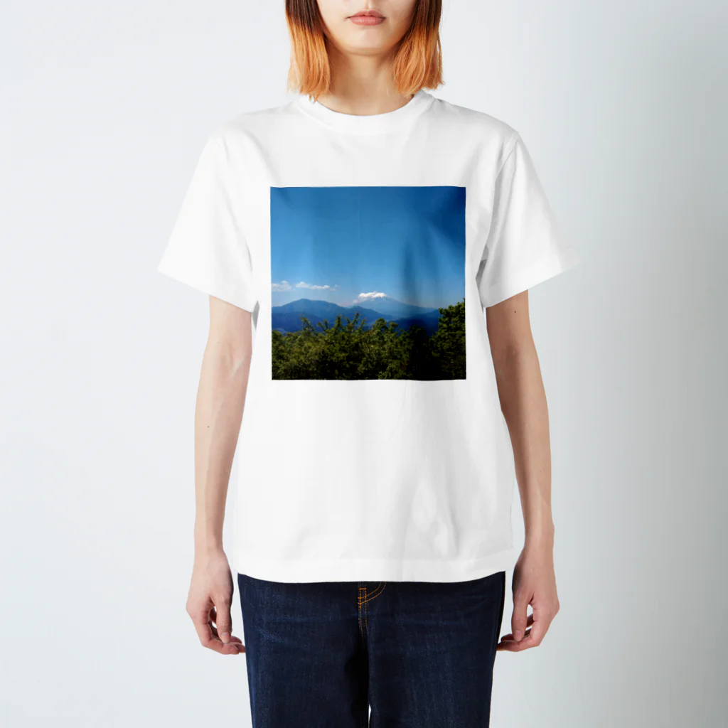 FujiyamafujiyaのFujiyama 1 Regular Fit T-Shirt