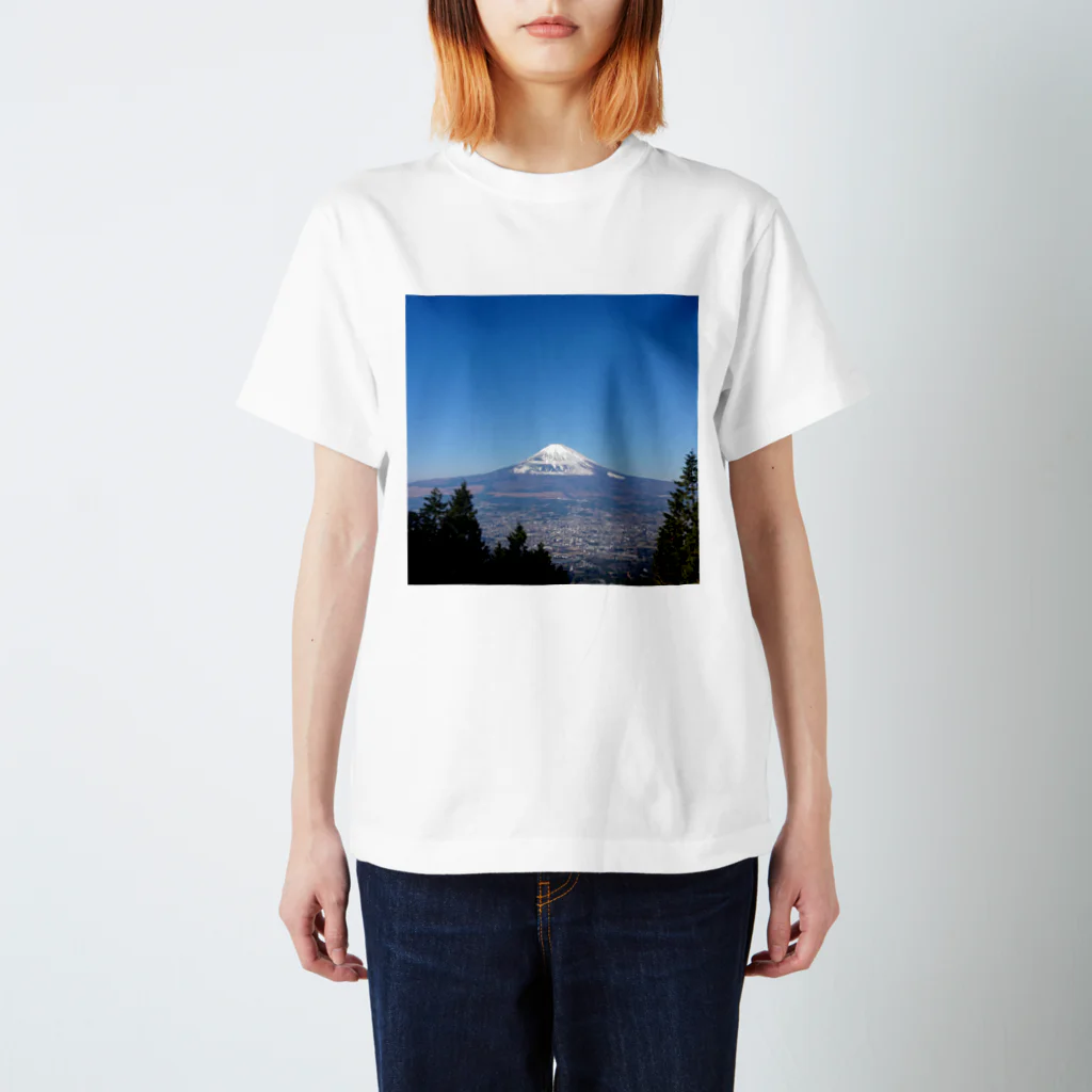 FujiyamafujiyaのFujiyama 5 スタンダードTシャツ