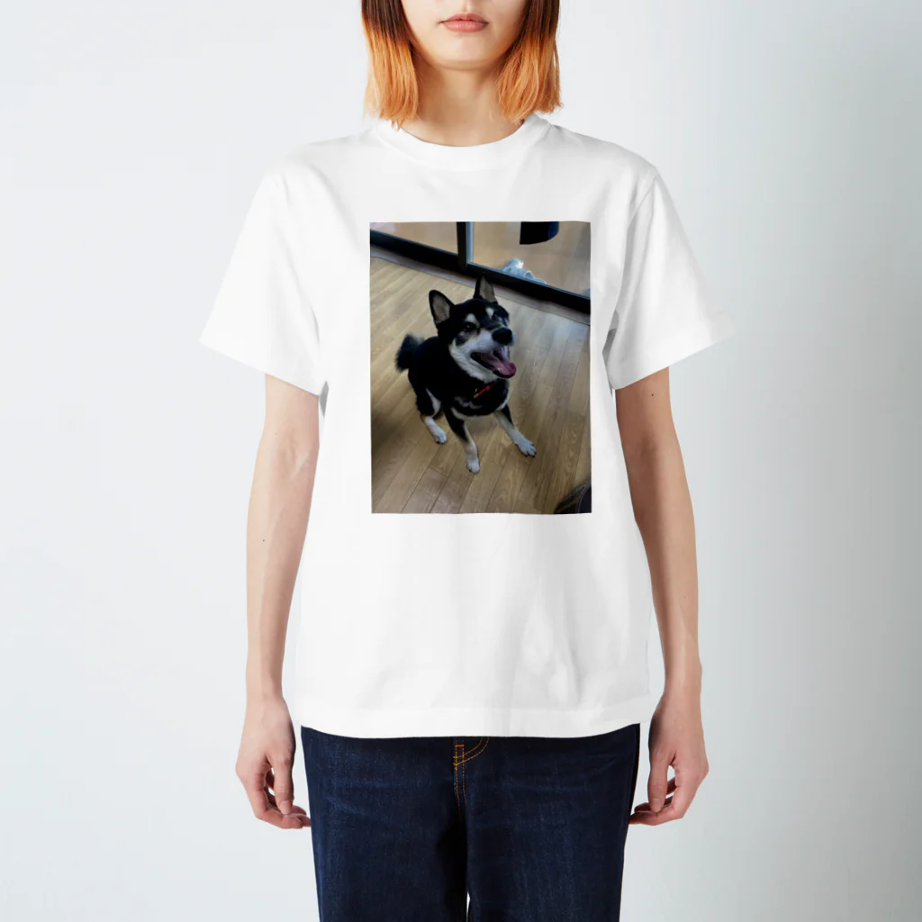 nkchu213の笑っていぬ Regular Fit T-Shirt