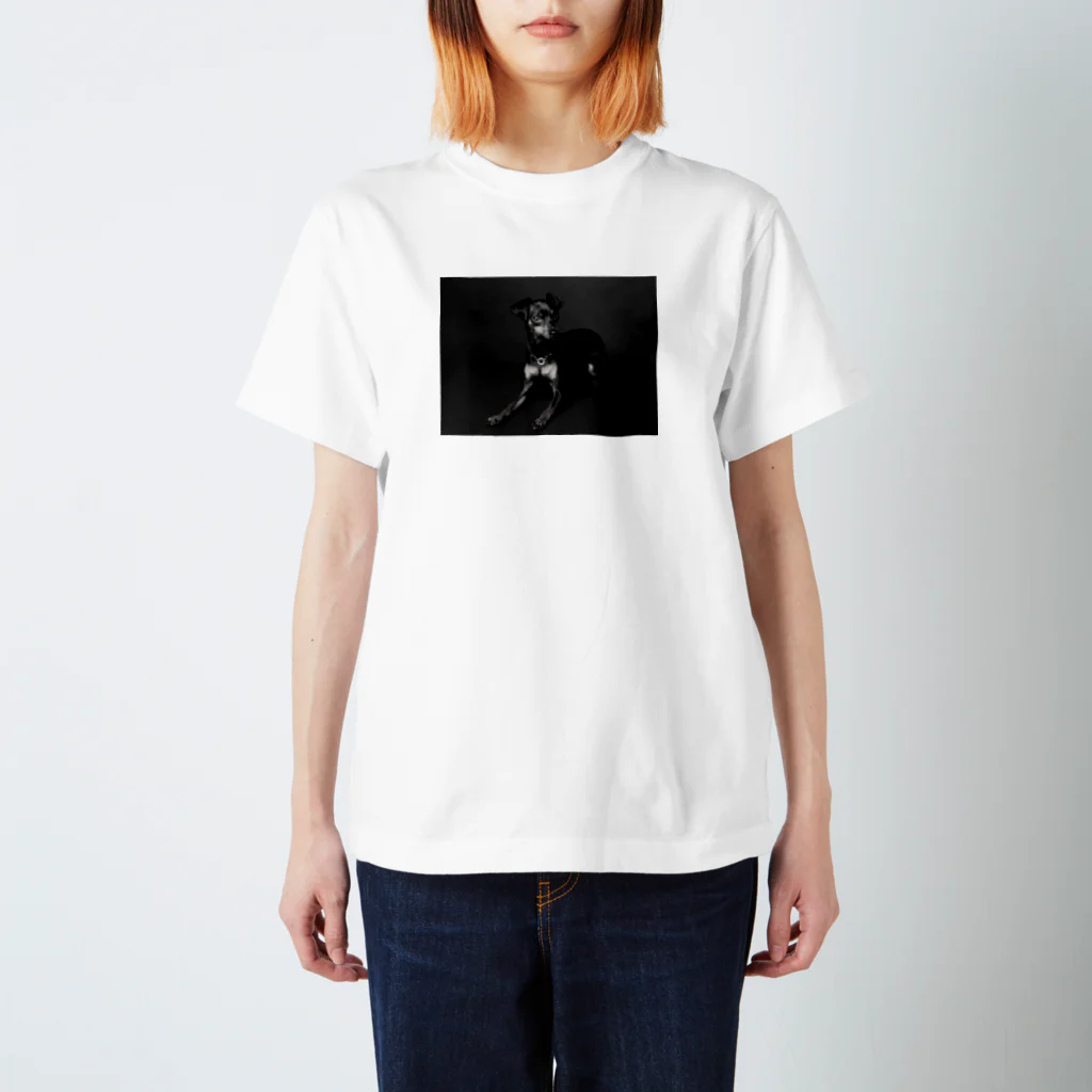 roger_4kgのROGER_Ver.1 スタンダードTシャツ