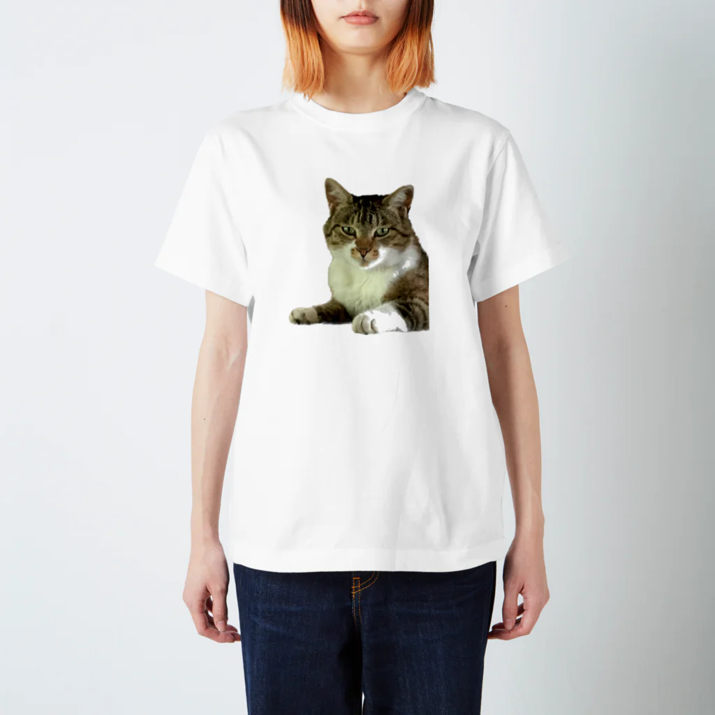 SHOPひばさんのキリッとした顔のねこ スタンダードTシャツ