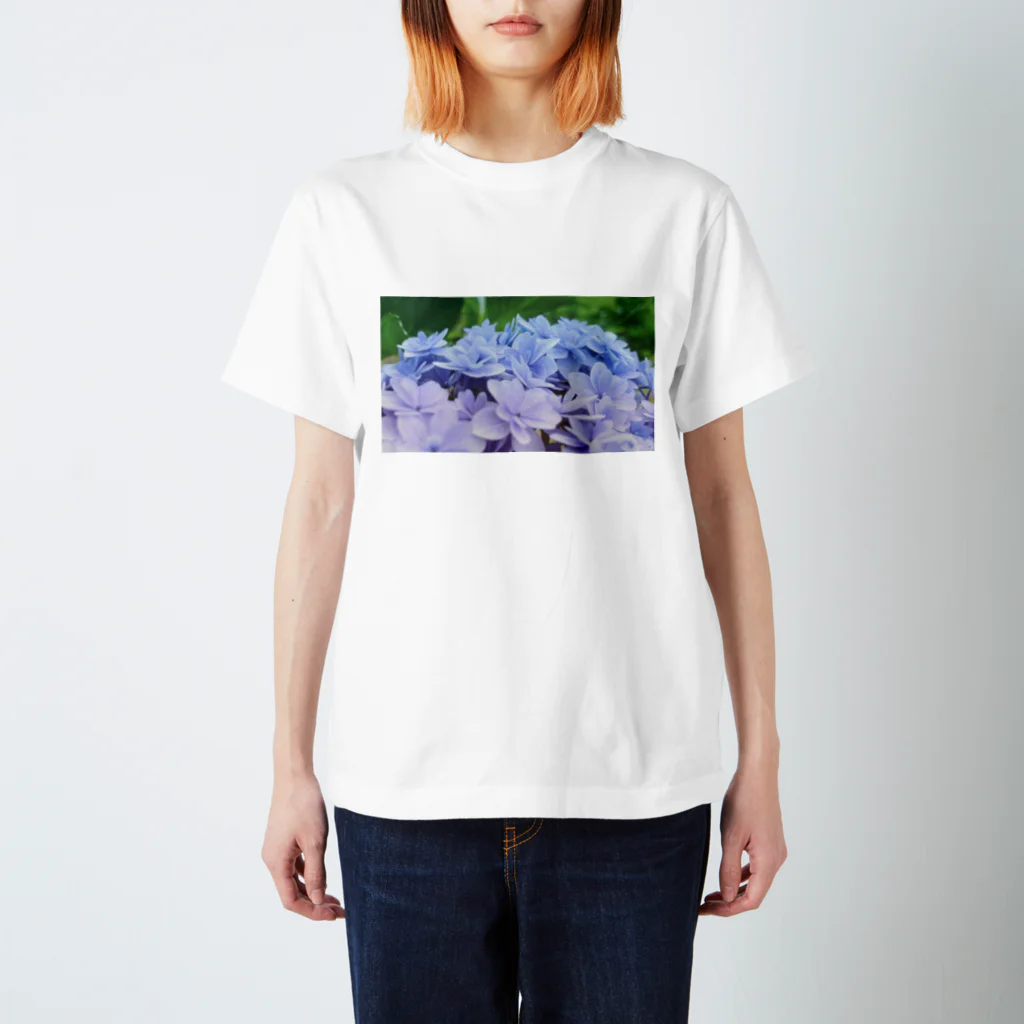 ナオンなおなおの紫陽花グラデーション スタンダードTシャツ