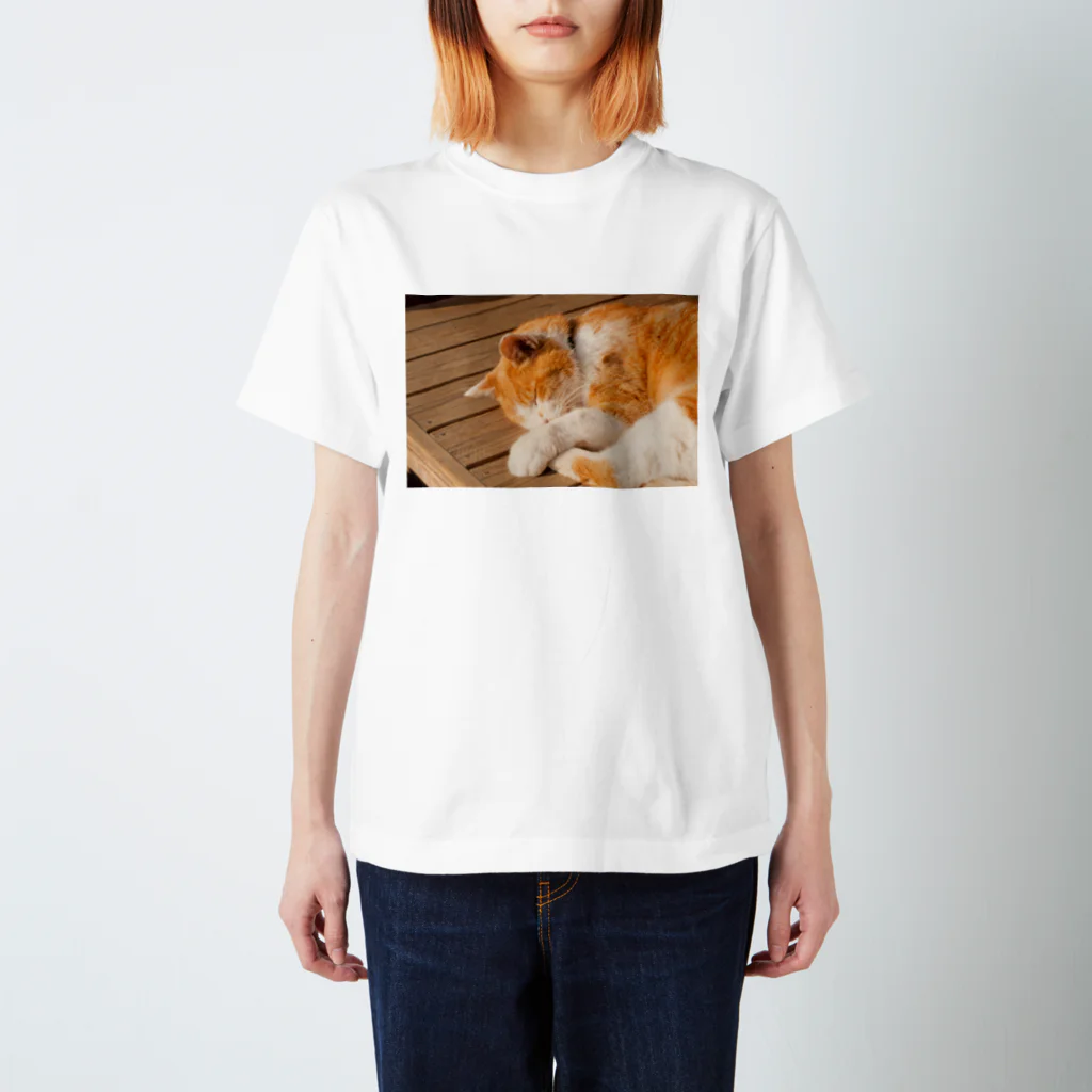 豆柴げんちゃんの鎌倉の猫 スタンダードTシャツ