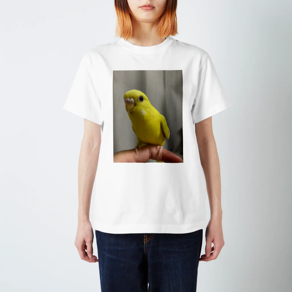 そらゆめインコのルチノーインコ Regular Fit T-Shirt